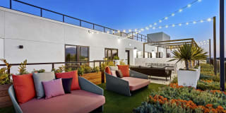 The Charlie Mar Vista Gallery 32