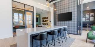 Isla Palmetto Gallery 6