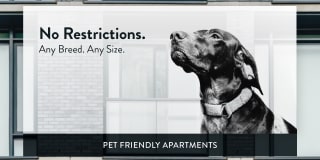 The Hollows - Affordable Housing Gallery 29