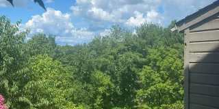 4978 Hunting Hills Cir Gallery 1