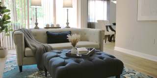 Crystal Springs Gallery 19