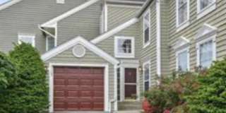 21103 CROCUS Terrace Gallery 1
