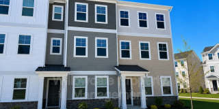 1023 Tea Time trail Gallery 1