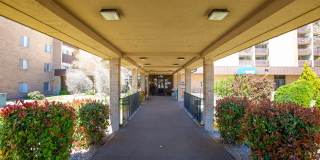 Los Altos Towers Gallery 41