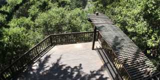 Piedmont Pines Home with Spectacular Bay Views! Gallery 16