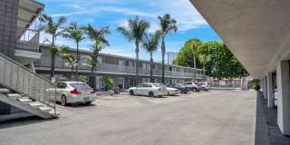 Occidental Gallery 3