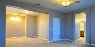 10691 Fire Poppy Circle Gallery 9