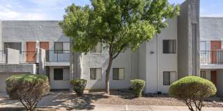 Acacia Hills Gallery 38