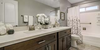 8501 E JACKRABBIT Road Gallery 36