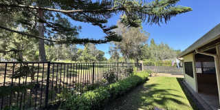 4328 Forest Oaks Drive Gallery 17