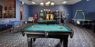 2933 BANANA PALM Drive Gallery 39