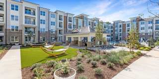 Bainbridge Cary Gallery 32