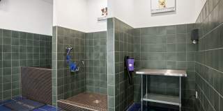 The Asher The Asher Gallery 20