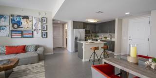 Vu New River Vu New River Gallery 49