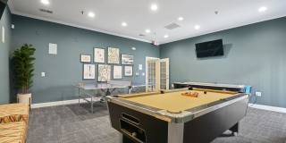 Brixley at Carolina Forest Gallery 12