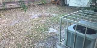 Large 4 -2 house in sw area ! Off Davie blvd Gallery 19