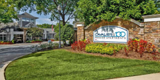 Cavalier @ 100 Gallery 25