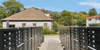 The Brentwood Gallery 25