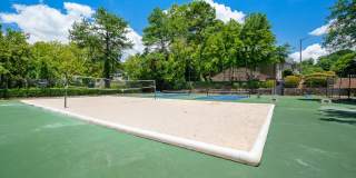 The Harrison Gallery 22