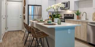 Encore Echo Gallery 1