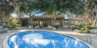 Move-In Ready 2BR | Fresh Paint | Unfurnished & Ready for Your Style Gallery 27