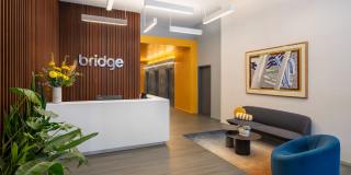 Bridge on Race Gallery 19