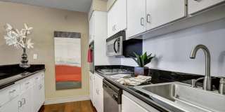 Capitol Towers – Towers and Villas. Gallery 1