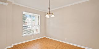 213 LIECK CV Gallery 2