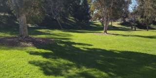 ALL UTILITIES INCLUDED! 3 Bed / 1 Bath Remodeled Condo/Duplex at Tanglewood ALL UTILITIES INCLUDED! 3 Bed / 1 Bath Remodeled Condo/Duplex at Tanglewood Gallery 8