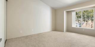 Lantern Cove Gallery 24