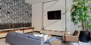 Savier Street Flats Gallery 30