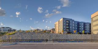 Terra Vista Gallery 42