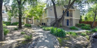 Hidden Oaks Gallery 29