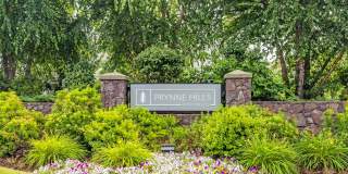 Prynne Hills Gallery 10