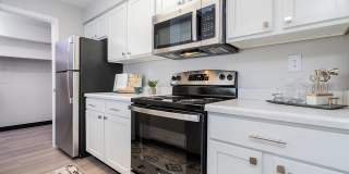 Steeplechase Gallery 34