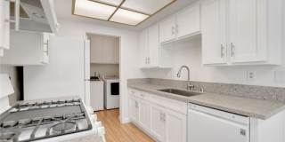 1460 Forest Glen 1460 Forest Glen Gallery 10