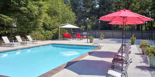 Forest Hill Village Gallery 7