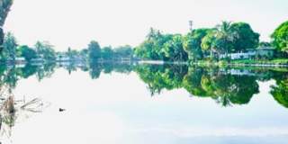 6410 KIMBERLY Boulevard, North Lauderdale, FL 33068 6410 KIMBERLY Boulevard, North Lauderdale, FL 33068 Gallery 9