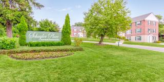 Schuyler Place Gallery 17