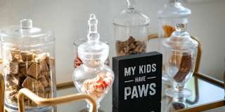 Mosaic at Lake Toho Gallery 7