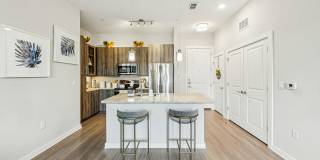 Overture Dr. Phillips Age 55+ Apartment Homes Gallery 8