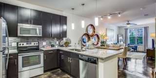 Monaco On The Trail Monaco On The Trail Gallery 11