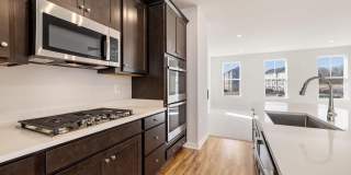 42580 PITLOCHRY Terrace Gallery 11