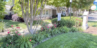 Westdale Commons Gallery 11
