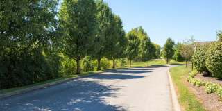 Creekside Village Gallery 1