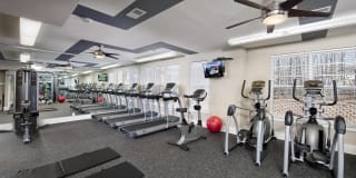 Tryon Place Gallery 28