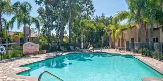 Delightful 2 Bedroom 2 Bath Condo in UTC Gallery 13