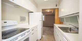 Almar Arms Gallery 1