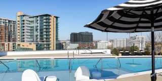 Novel Edgehill Gallery 21