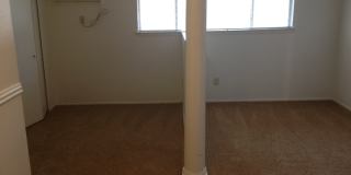 Forest Ridge Gallery 55